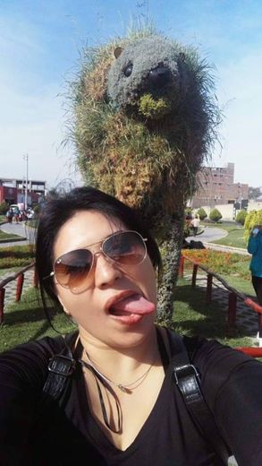 Tacna