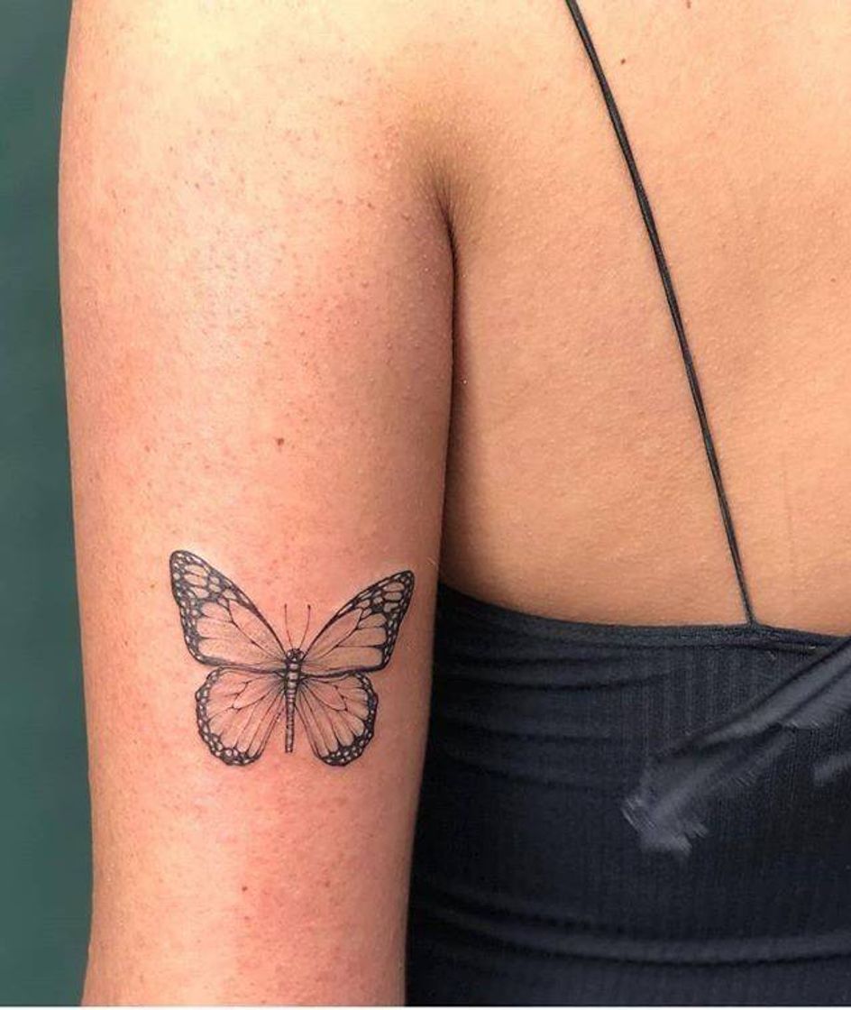 Fashion Tatuagem Borboleta