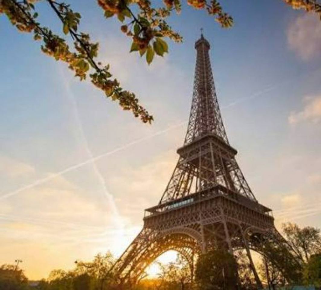 Place Torre eiffel