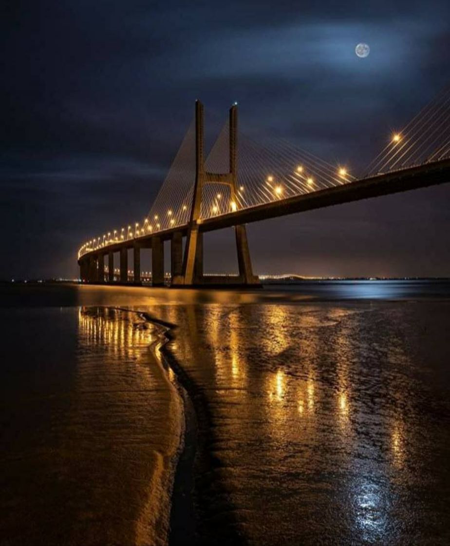 Lugar Puente Vasco da Gama