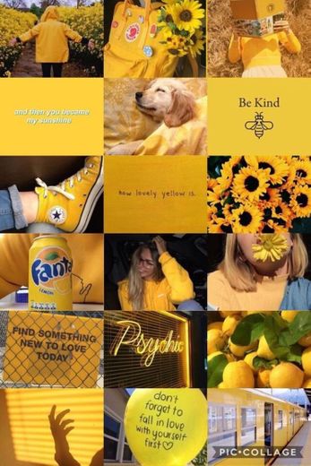 FEED AMARELO 