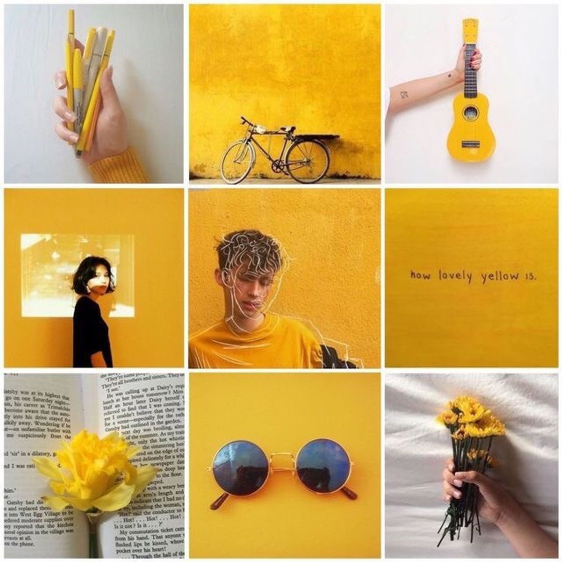 Fashion Feed amarelo 