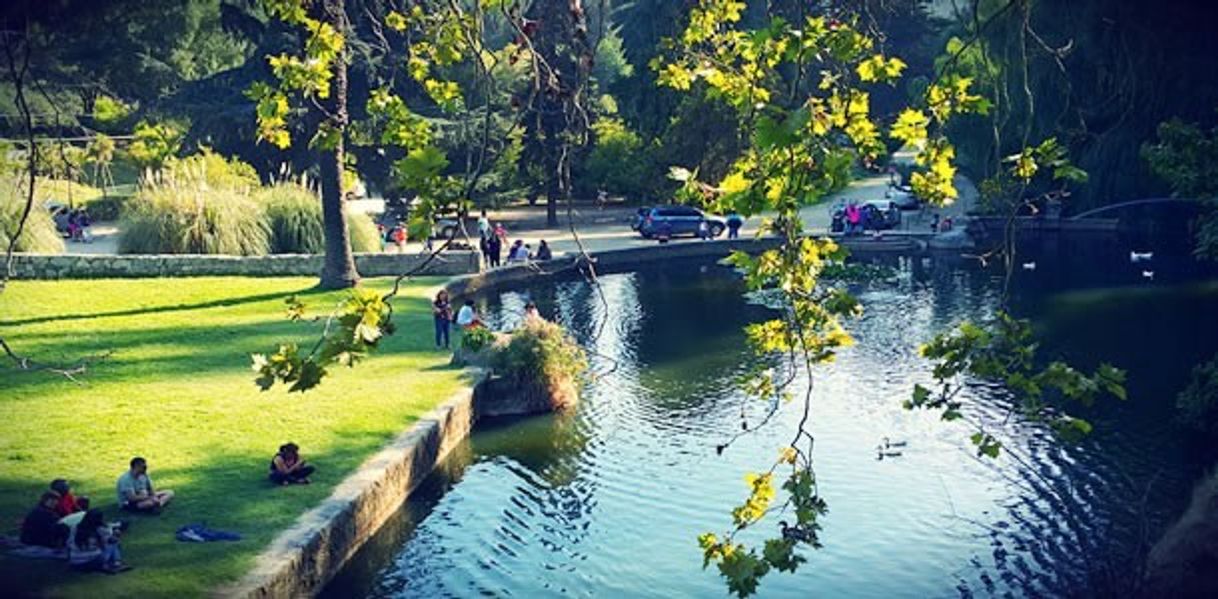 Lugar Jardín Botánico de Viña del Mar