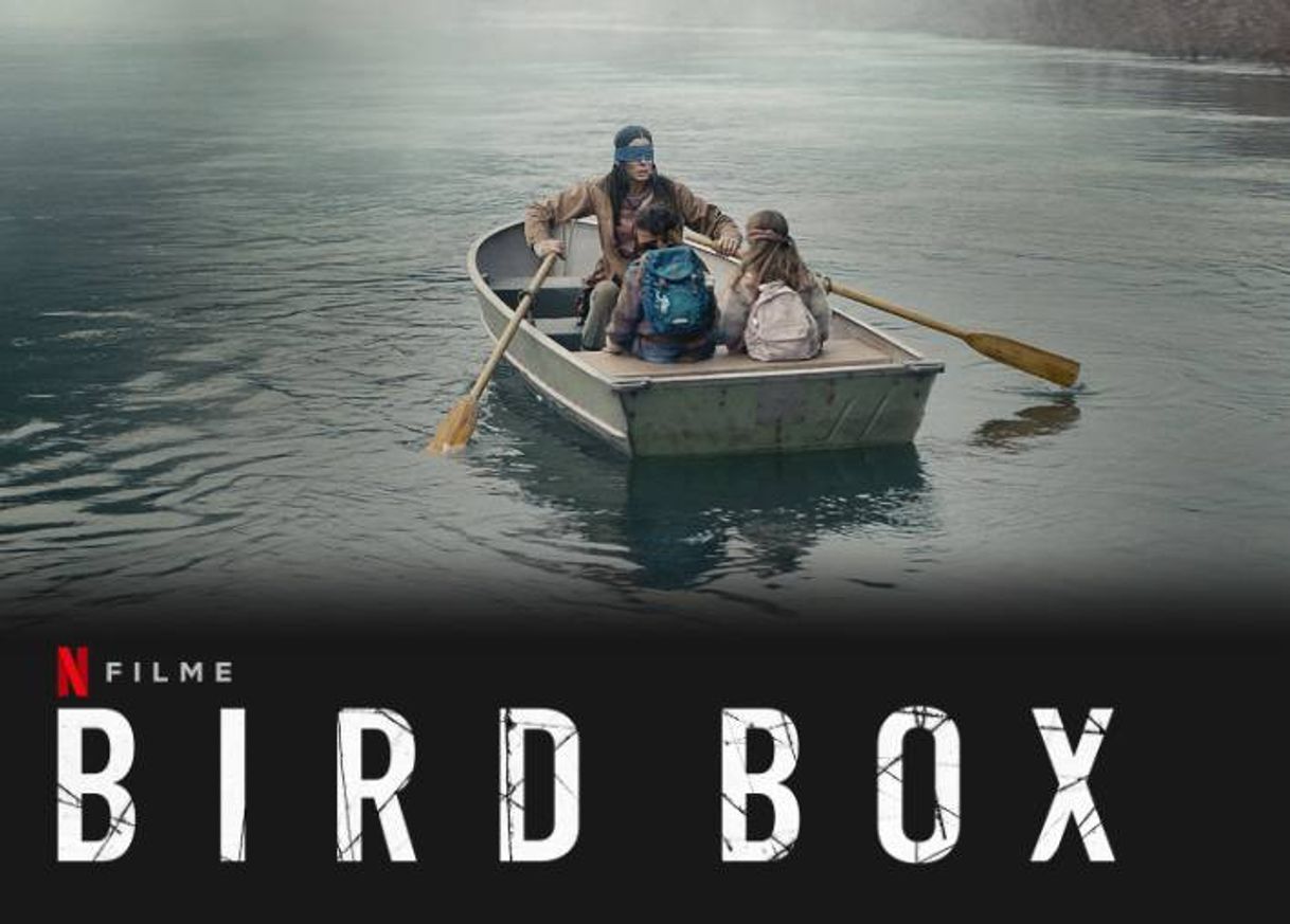 Social Bird Box