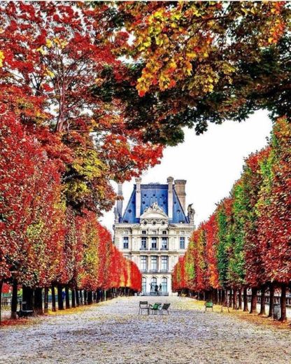 Jardin des Tuileries