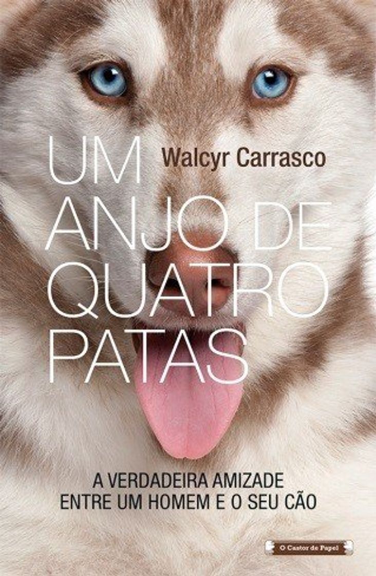 Libro Um Anjo De Quatro Patas