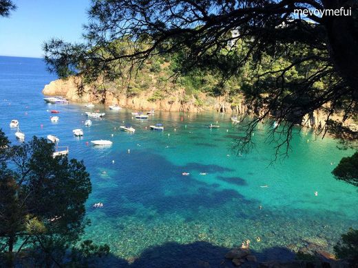 Playa Cala Aiguablava