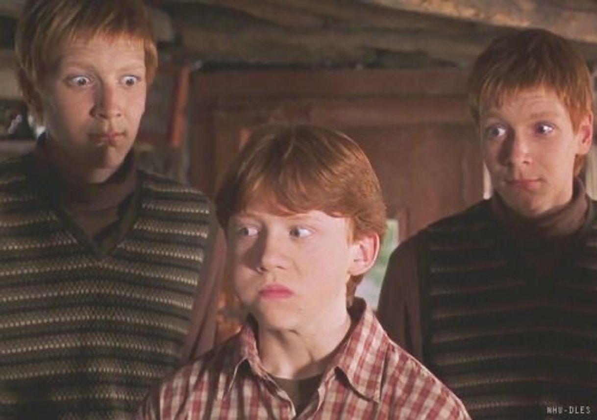 Moda family weasley