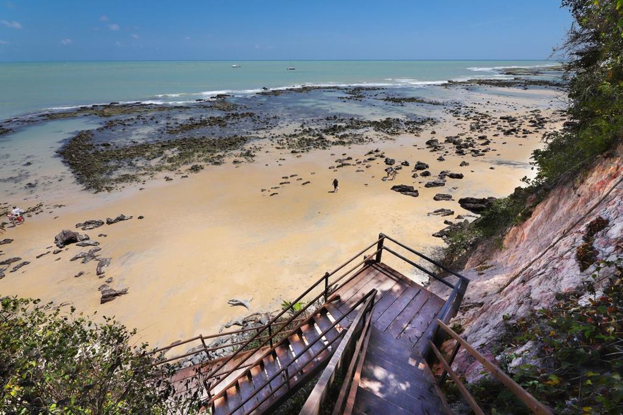 Place Avenida Baía dos Golfinhos