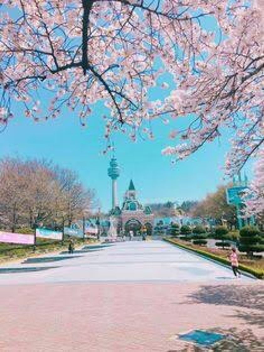Place Busan