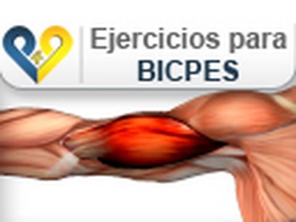 Social Ejercicios para biceps