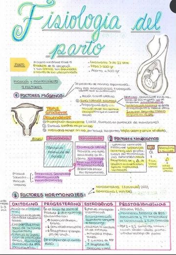 Resumen de Fisiología del parto