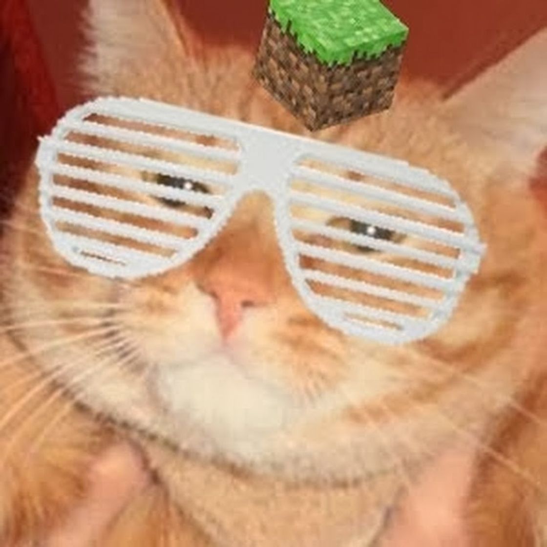 Social elrubiusOMG - YouTube