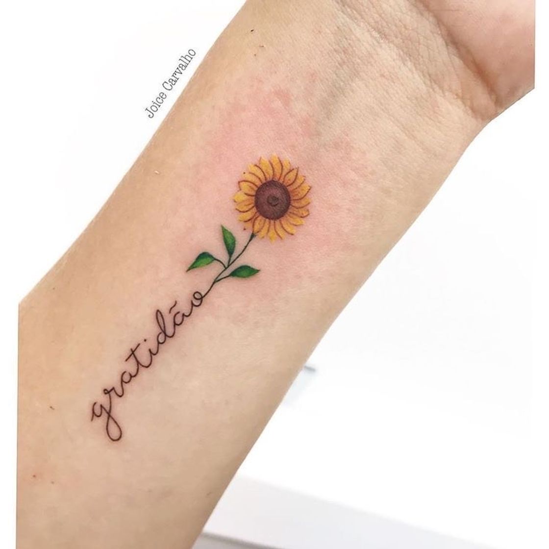 Social Tatuagem