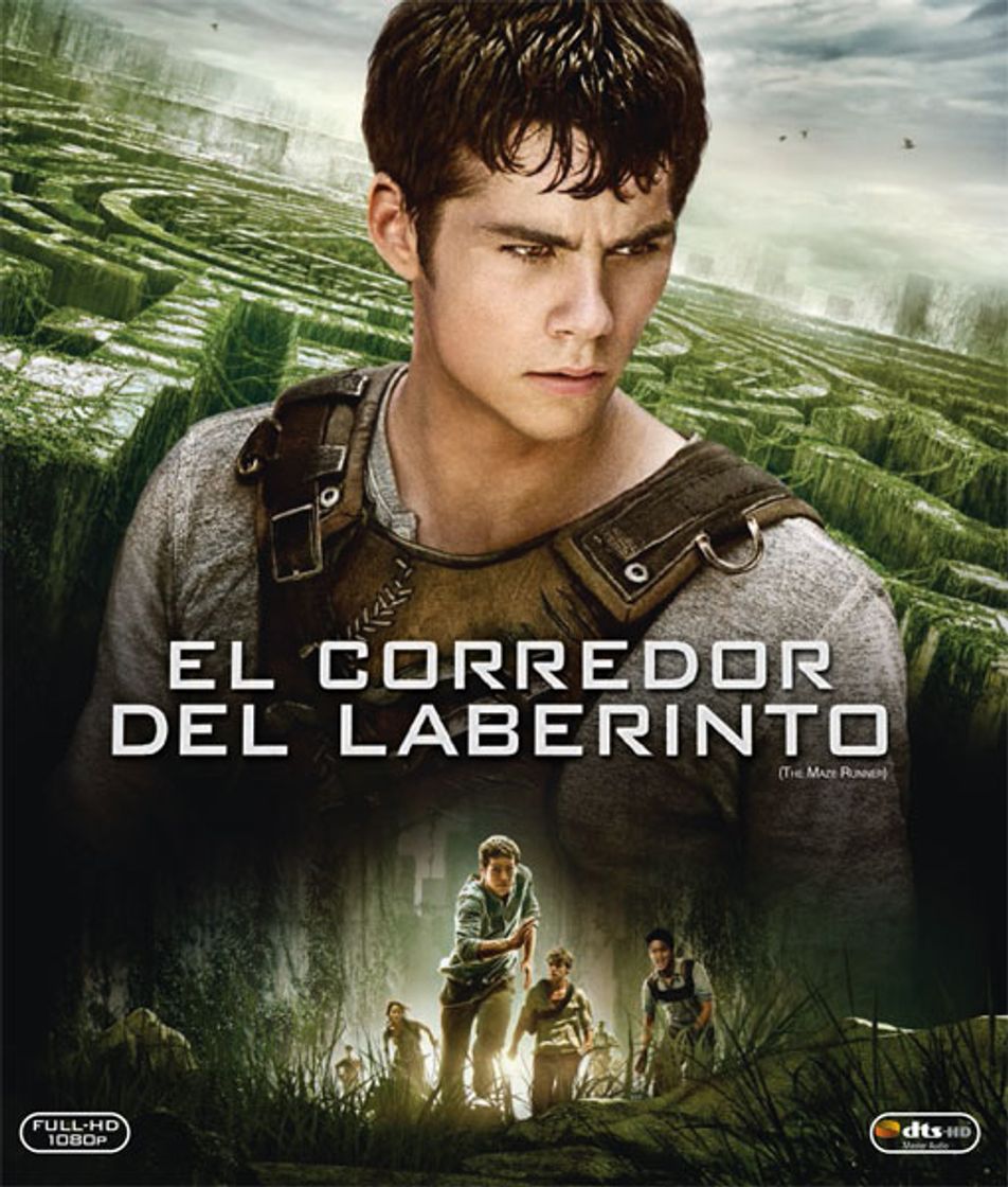 Película El corredor del laberinto