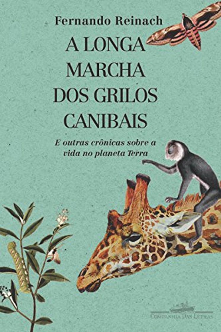 Moda Livro A longa marcha dos grilos canibais