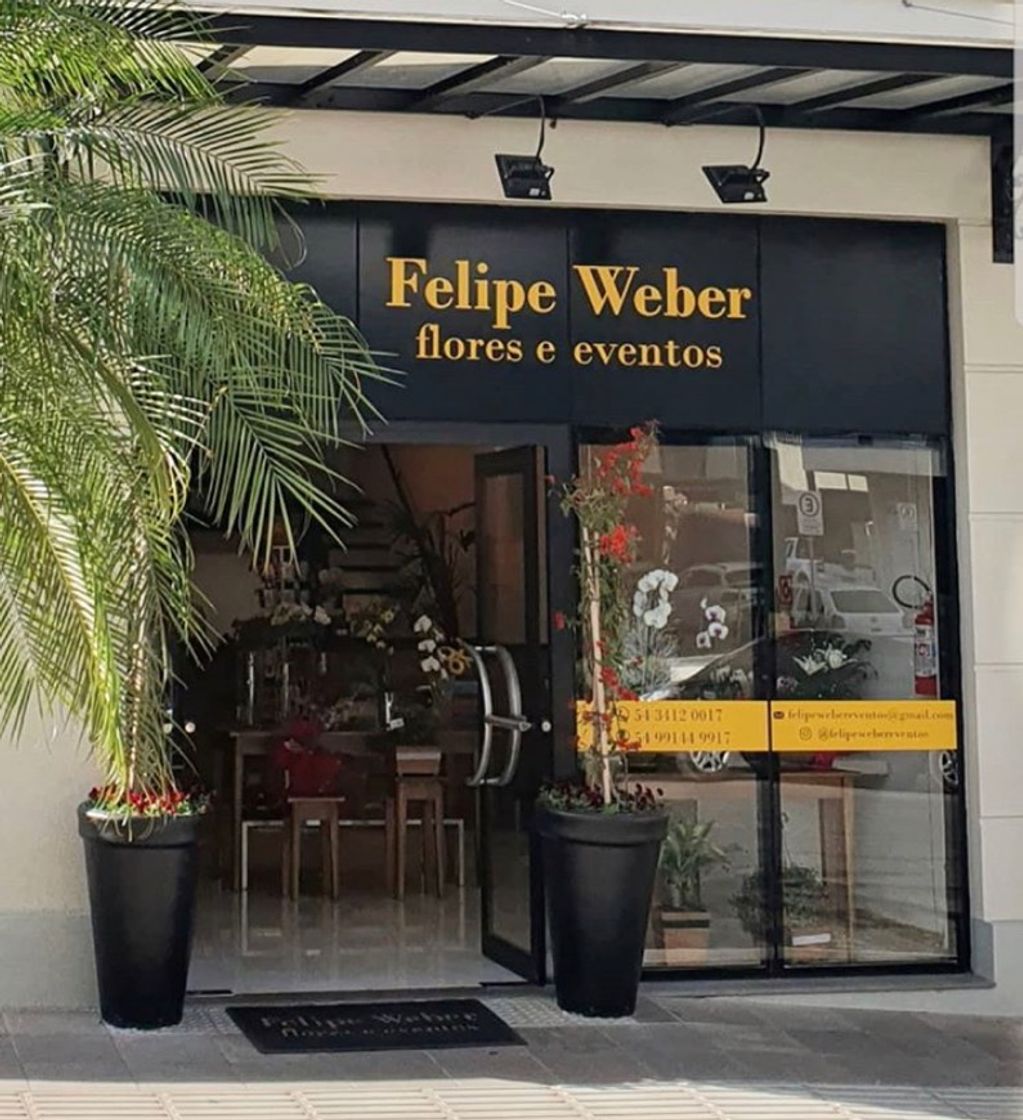 Lugar Felipe Weber Flores E Eventos