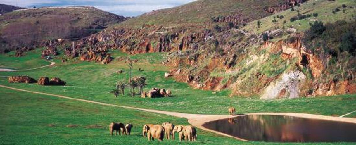 Lugar Parque Natural de Cabárceno