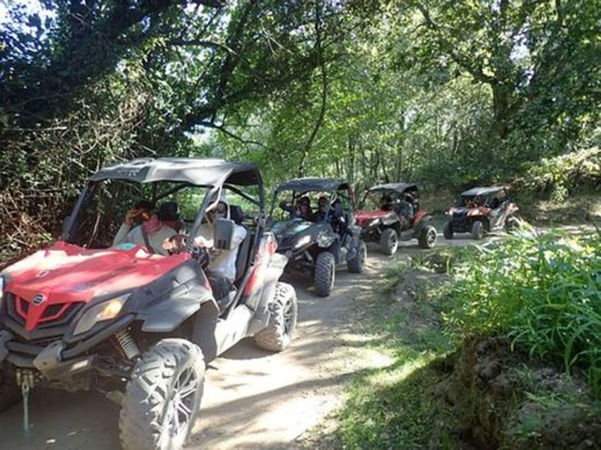 Lugar Oporto Buggy Adventure