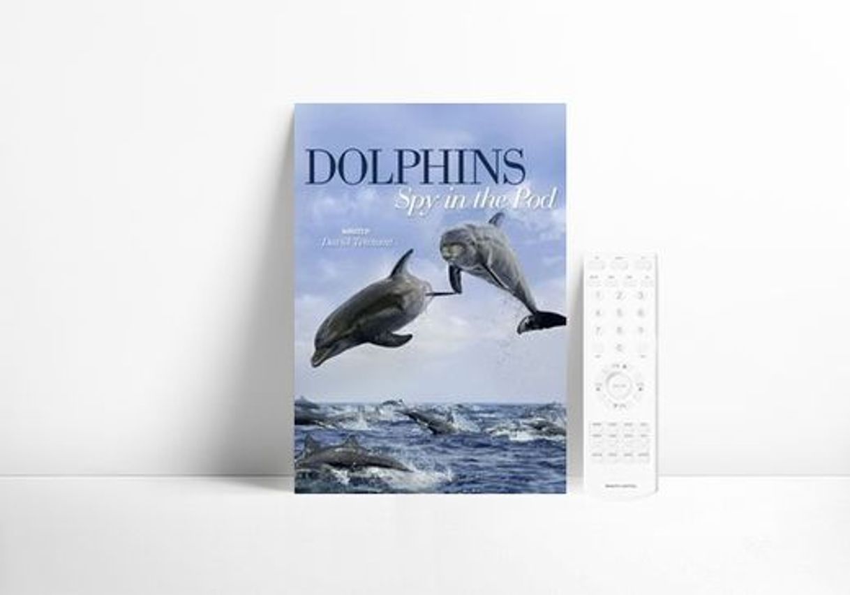 Serie Dolphins: Spy in the Pod