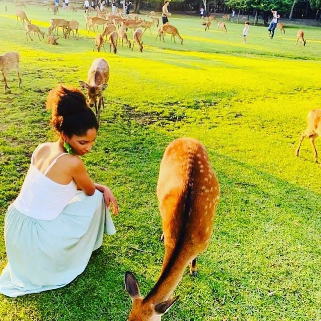 Place Nara Park