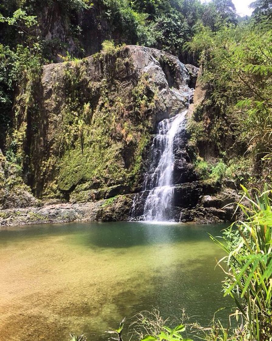 Moda Jarabacoa: Best of Jarabacoa, Dominican Republic Touris