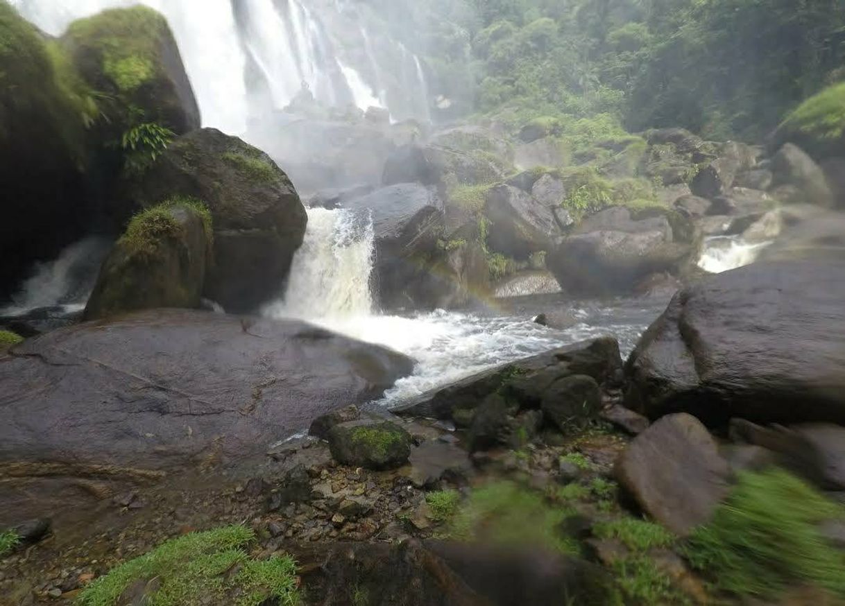 Place Trilha Cachoeira Do Elefante