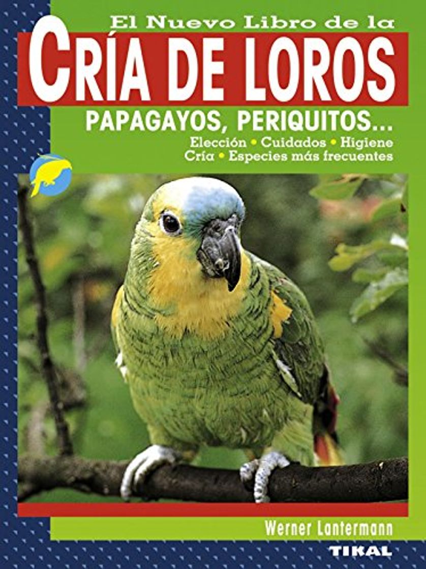 Cría de loros, papagayos, periquitos...