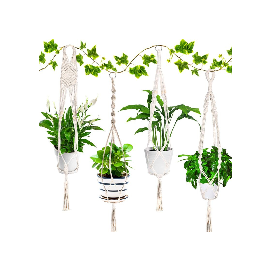 Social Emooqi Colgador para Plantas