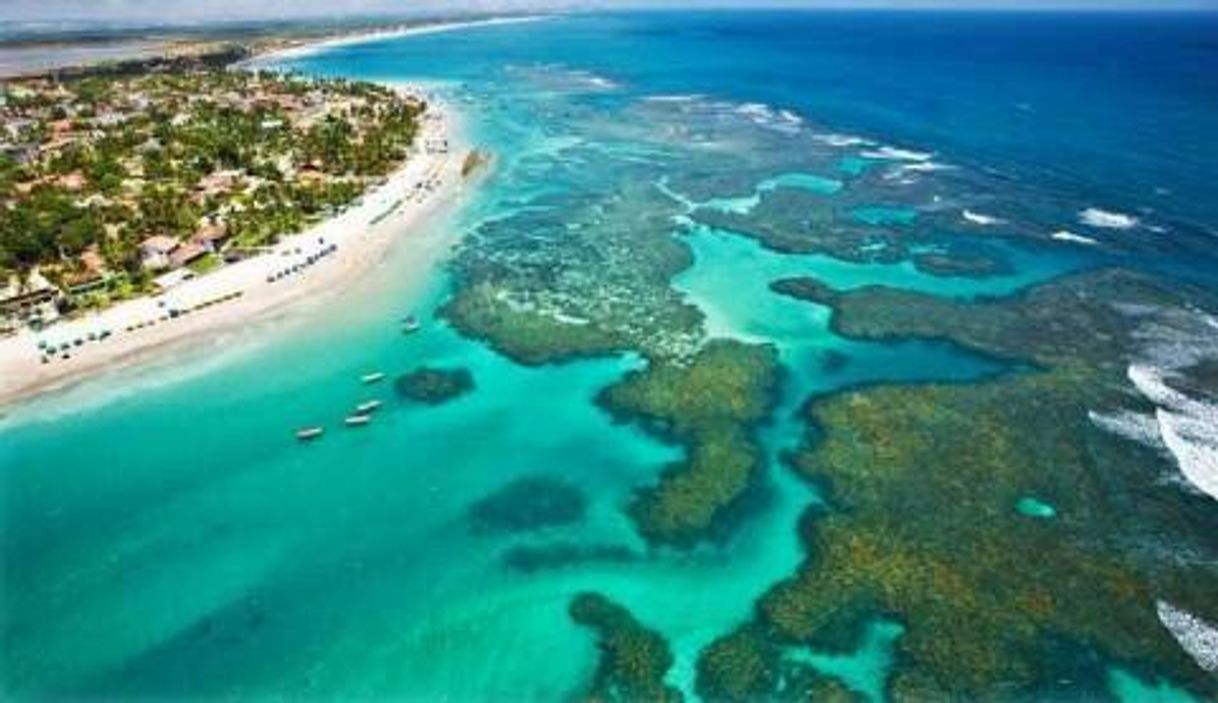 Place Porto de Galinhas