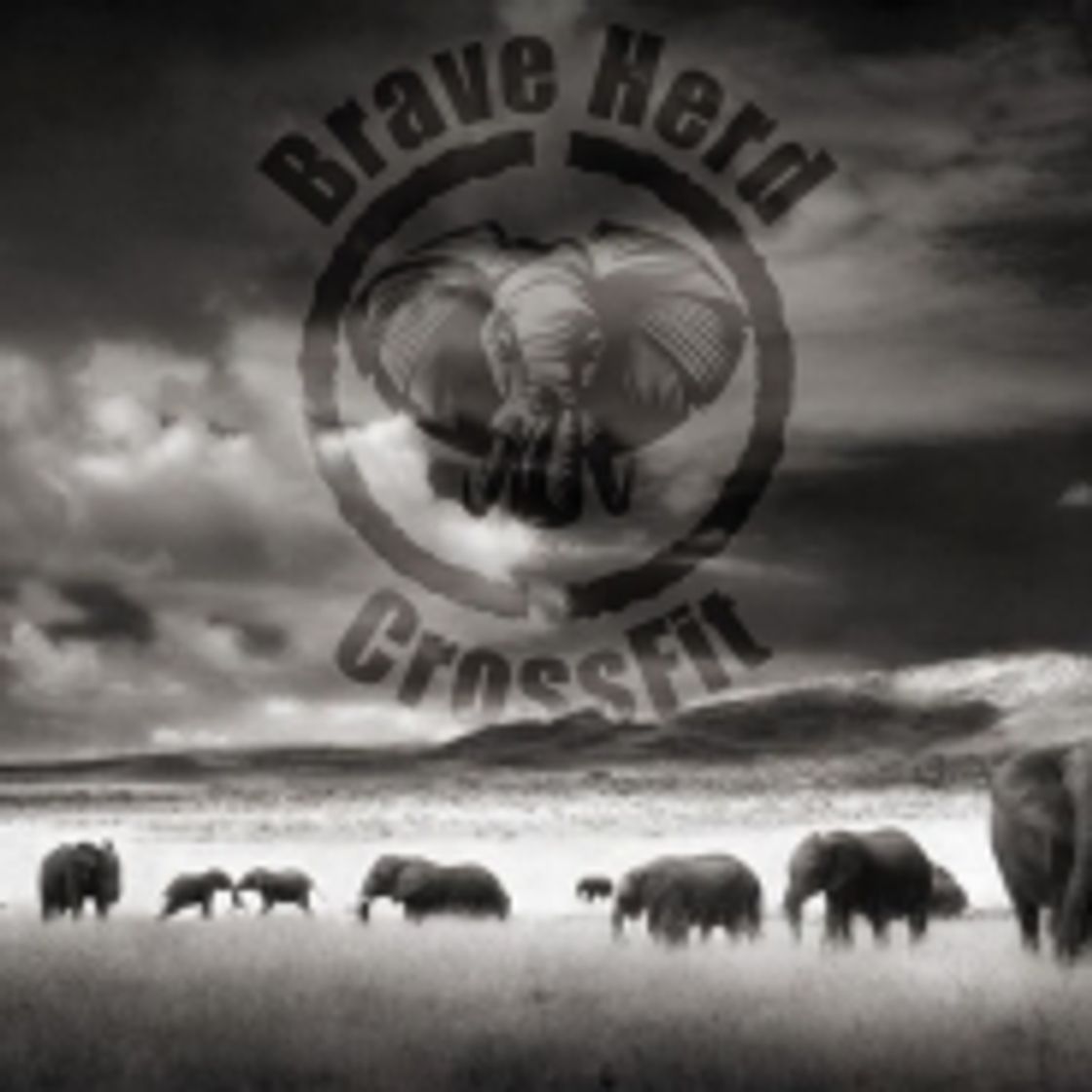 Social CROSSFIT Brave Herd