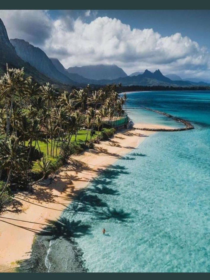 Social Hawaii 🏝