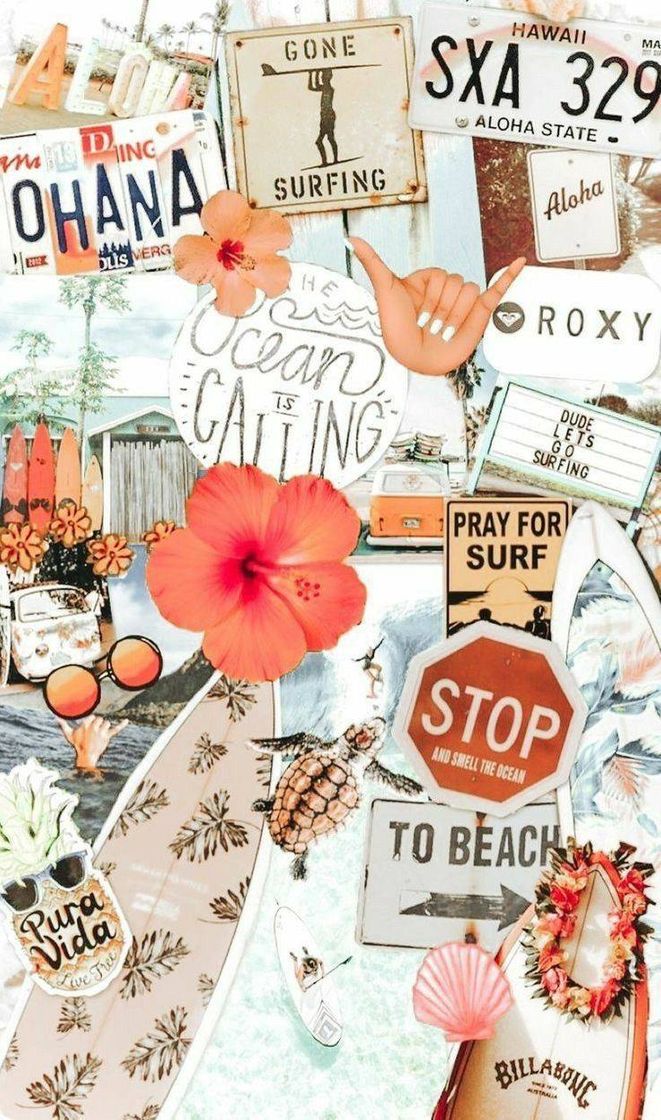 Social Wallpaper 🌺