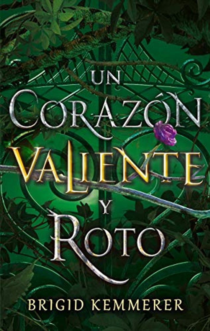 Libro Un corazón valiente y roto