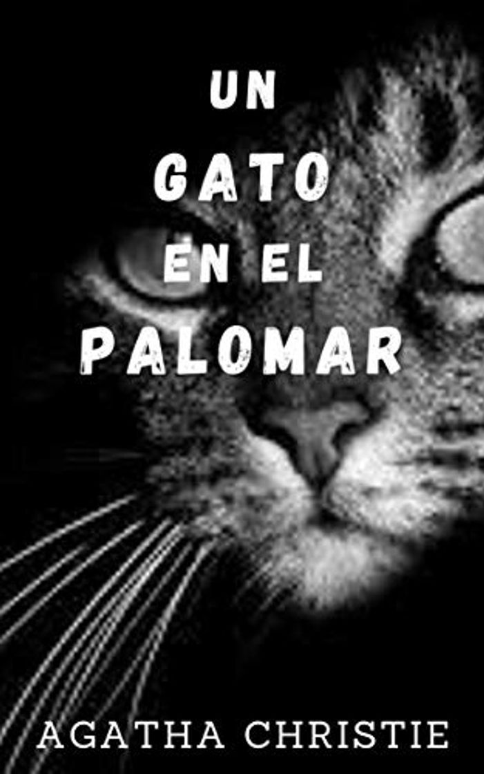 Libro Un gato en el palomar