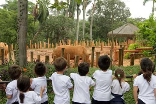 Zoológico de São Paulo