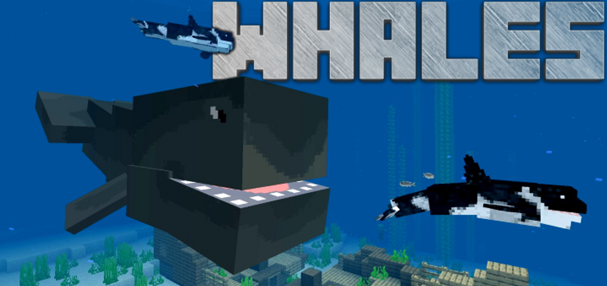 Fashion Orca / Killer Whale and Whale Add-on | Minecraft PE