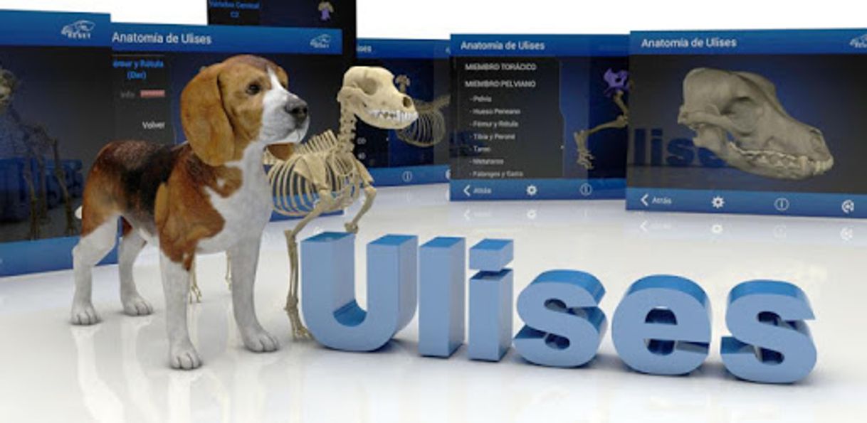 Moda Osteology in Dogs (Free) - Apps