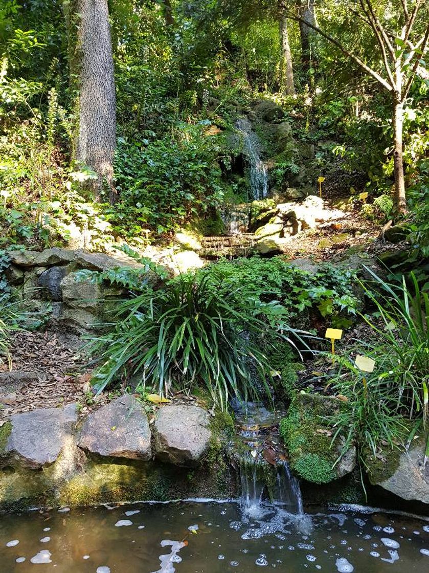 Lugar Jardín Botánico Histórico La Concepción