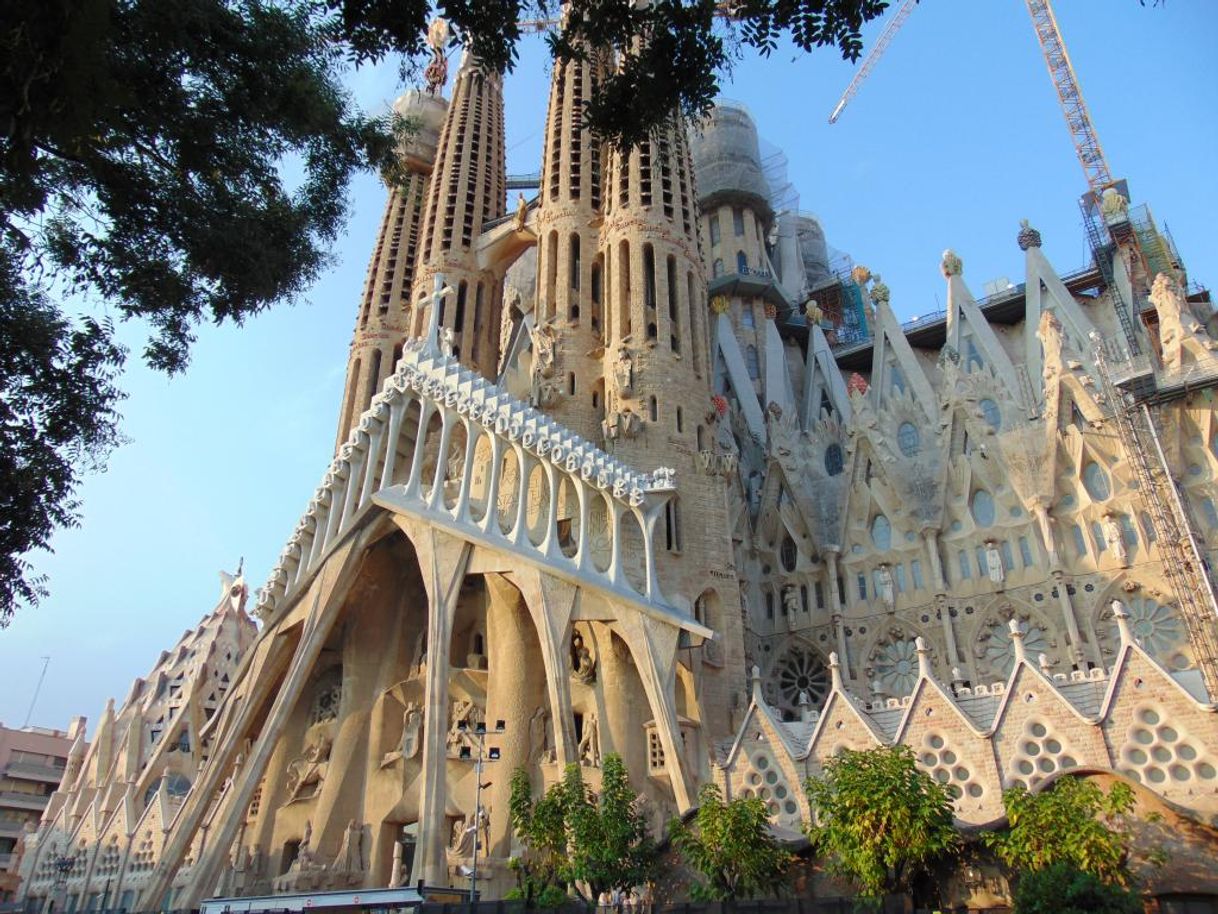 Lugar Basílica Sagrada Familia