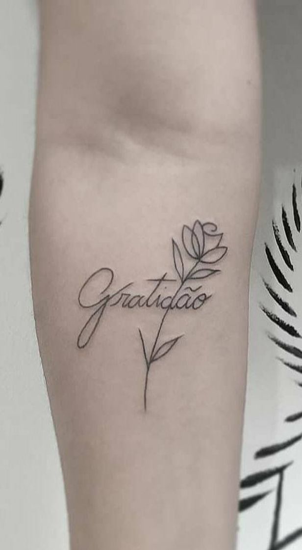 Moda Tattoo gratidão