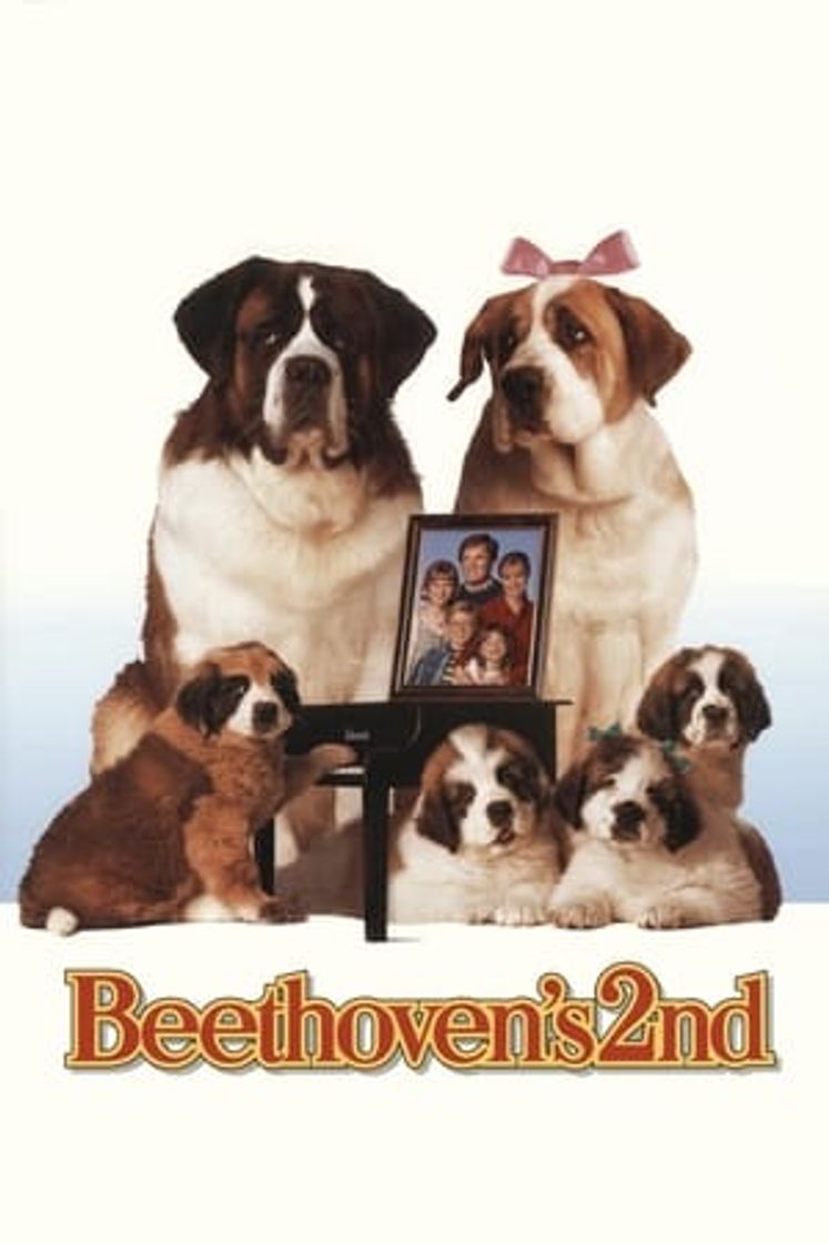 Película Beethoven 2: La familia crece