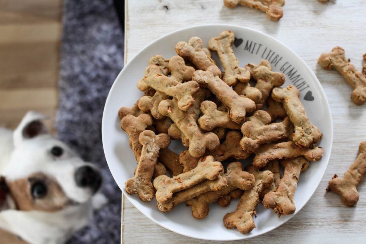 Fashion Biscoito pra cachorros - veg é maravilhoso 🐶🍪🦴