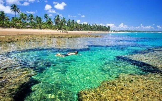 Taipu de Fora - Barra Grande