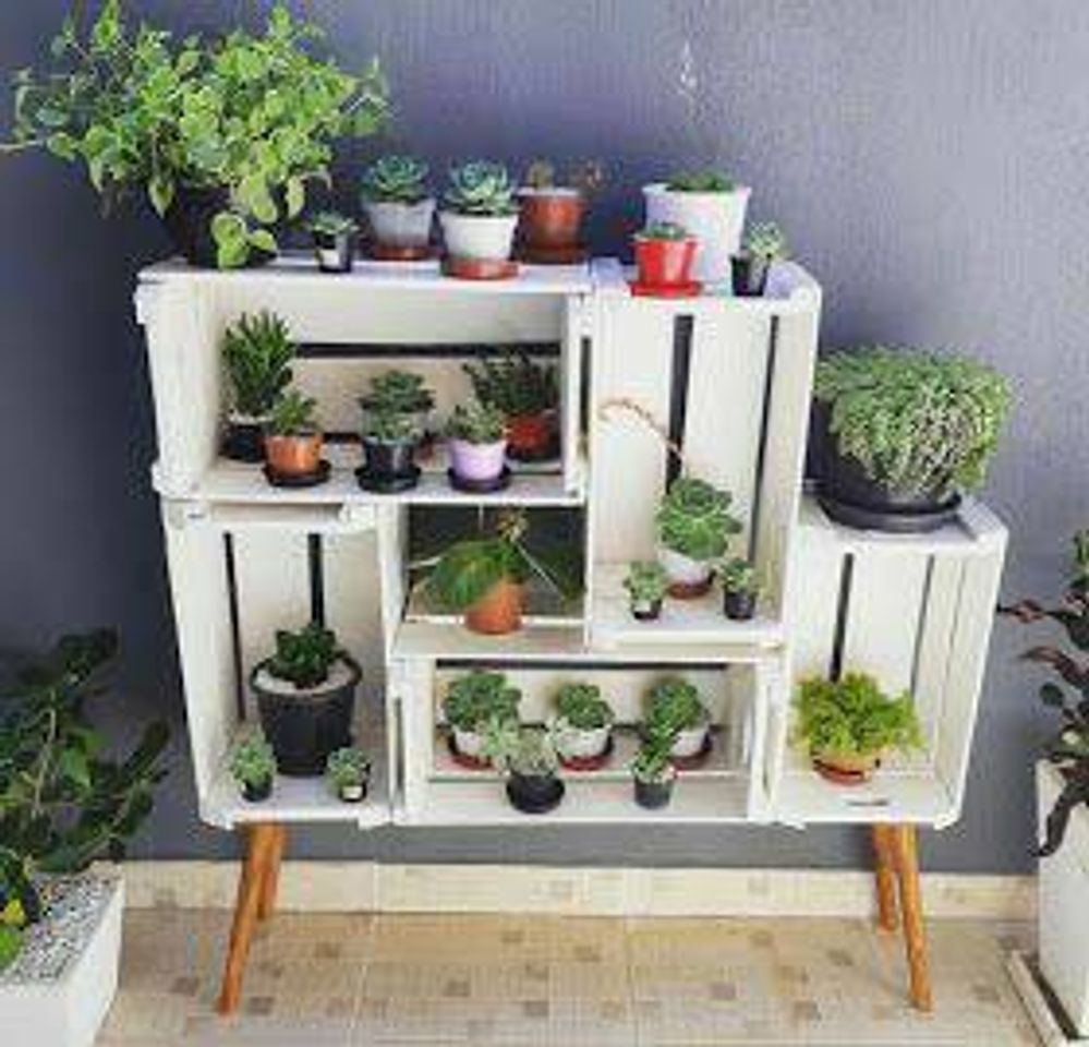 Moda Lugar para as plantinhas 