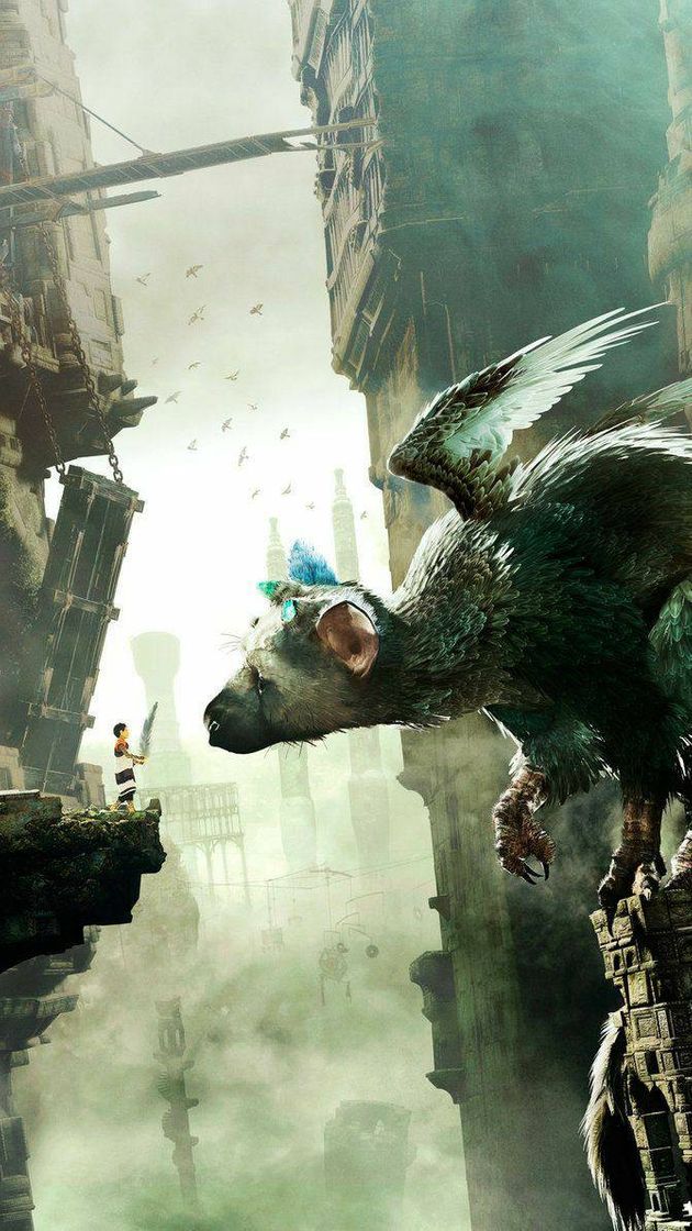 Social • The Last Guardian •