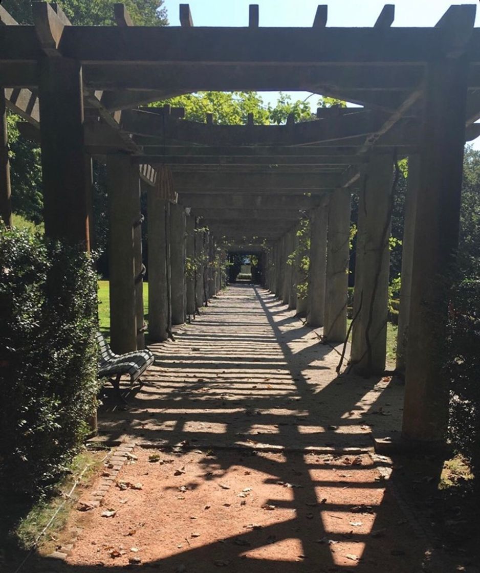 Lugar Casa de Serralves