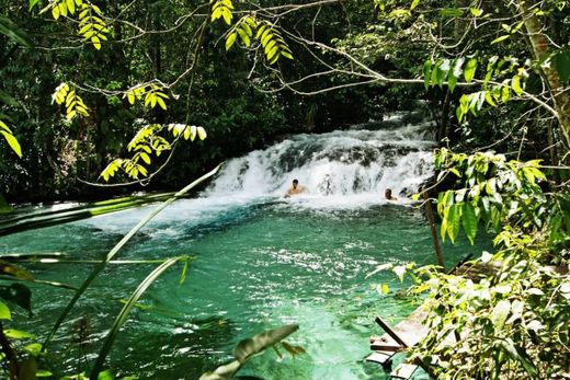 Parque Estadual do Jalapão – Wikipédia, a enciclopédia livre