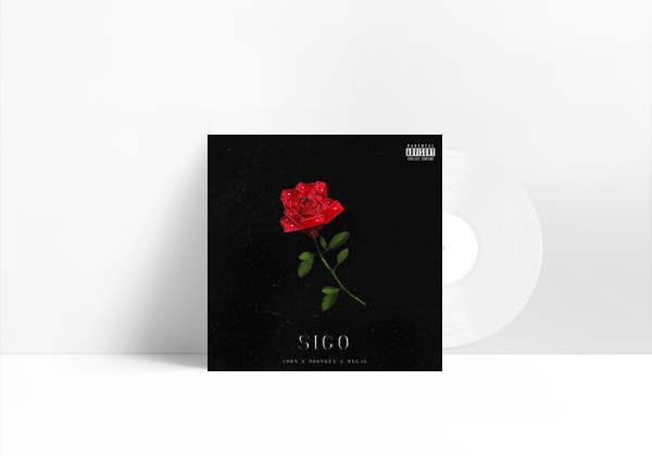 Canción Sigo