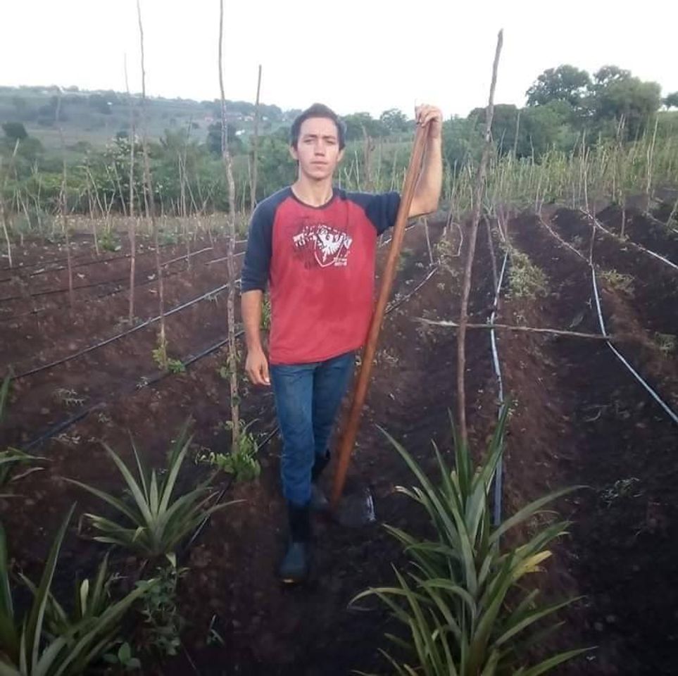 Social Musica forró muito bom gente se inscreve aí no canal 